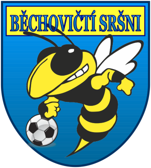 Fotbal - Běchovičtí Sršni 1